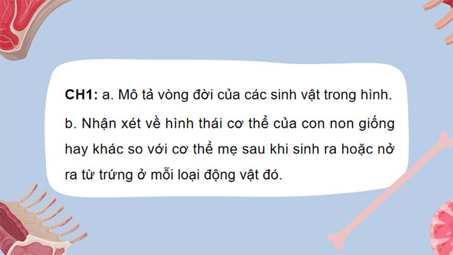 Sinh trưởng và phát triển ở động vật