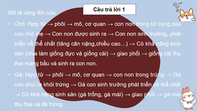 Sinh trưởng và phát triển ở động vật