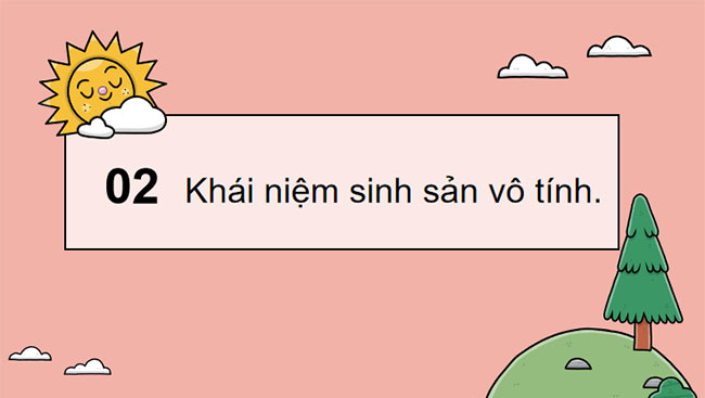 Khái quát về sinh sản và sinh sản vô tính ở sinh vật