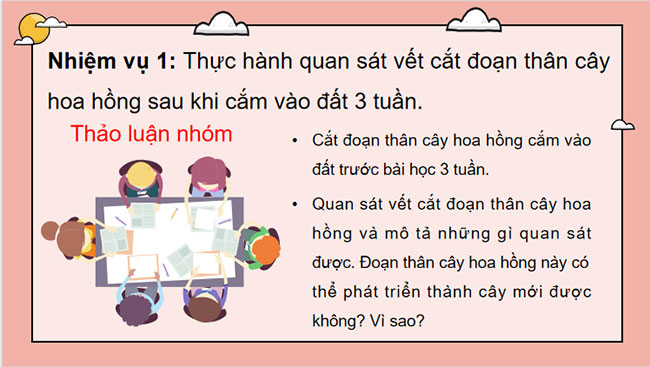 Khái quát về sinh sản và sinh sản vô tính ở sinh vật