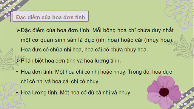 Sinh sản hữu tính ở sinh vật