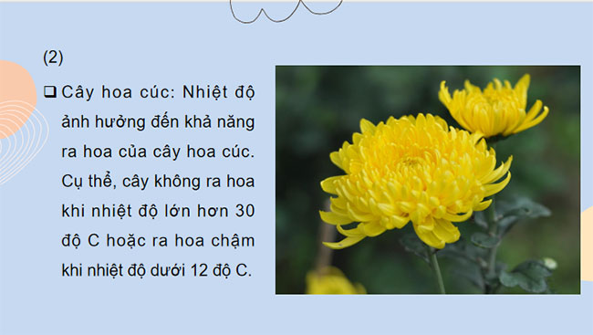 Các yếu tố ảnh hưởng đến sinh sản và điều khiển sinh sản ở sinh vật