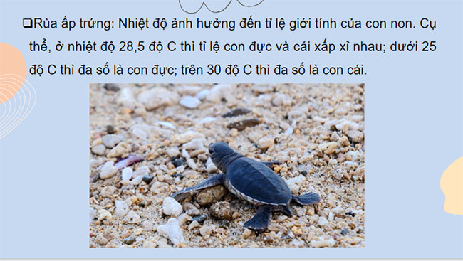 Các yếu tố ảnh hưởng đến sinh sản và điều khiển sinh sản ở sinh vật