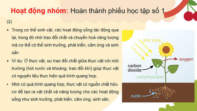 Sự thống nhất về cấu trúc và các hoạt động sống trong cơ thể sinh vật