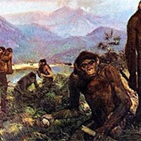 PowerPoint Lịch sử 6 Bài 4: Nguồn gốc loài người