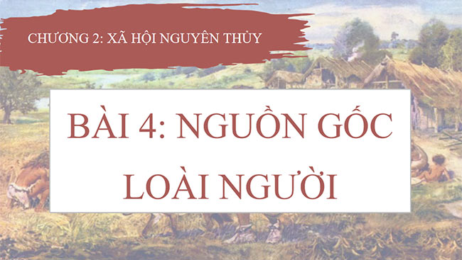 PowerPoint Lịch sử 6 Nguồn gốc loài người