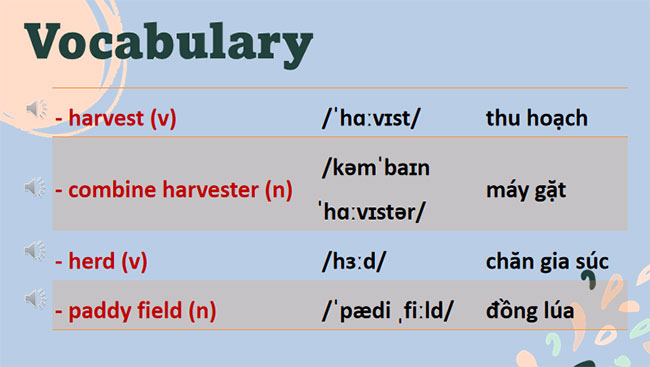 Giáo án PowerPoint Tiếng Anh 8 Unit 2: Getting Started