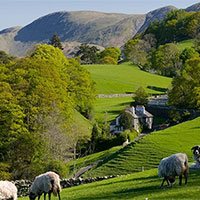 PowerPoint Tiếng Anh 8 Unit 2: Skills 1  