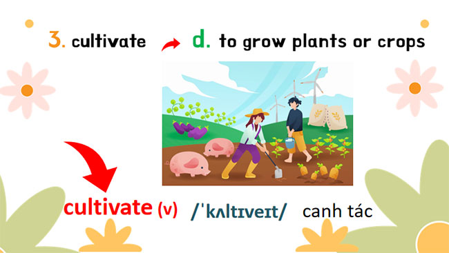 Giáo án PowerPoint Tiếng Anh 8 Unit 2: Skills 1