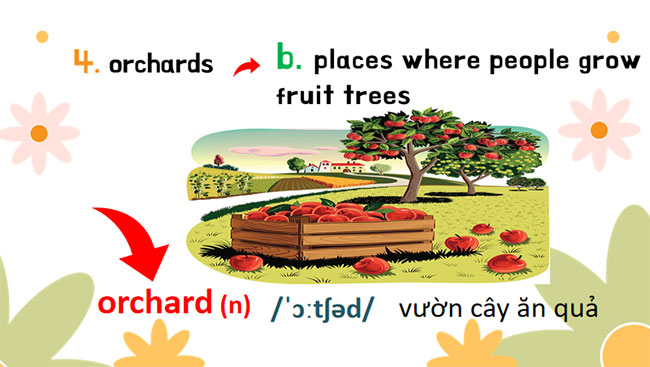 Giáo án PowerPoint Tiếng Anh 8 Unit 2: Skills 1