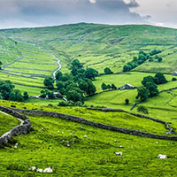 PowerPoint Tiếng Anh 8 Unit 2: Skills 2