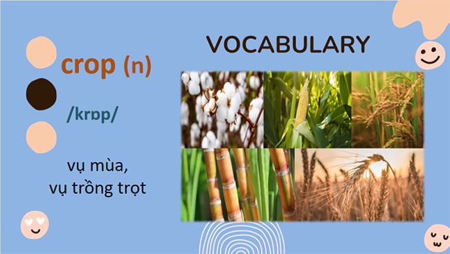 Giáo án PowerPoint Tiếng Anh 8 Unit 4: A Closer Look 2