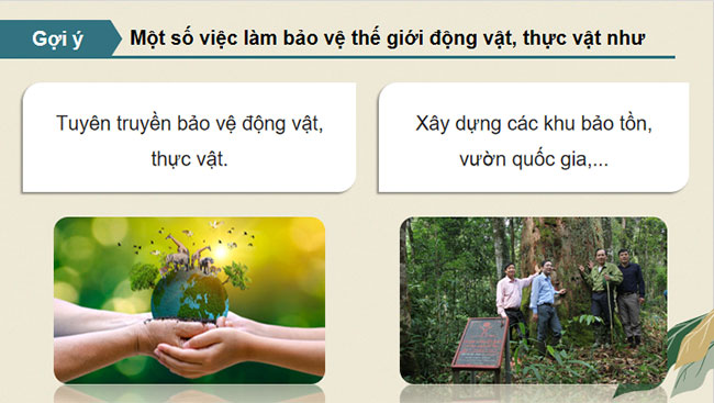 Bảo vệ cảnh quan thiên nhiên thế giới động vật và thực vật