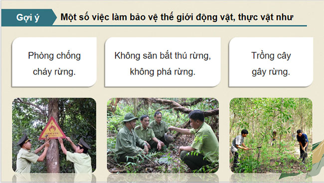 Bảo vệ cảnh quan thiên nhiên thế giới động vật và thực vật