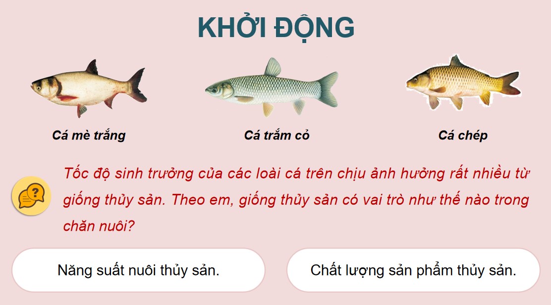 Giáo án PowerPoint Công nghệ 12 Lâm nghiệp thủy sản KNTT Bài 13