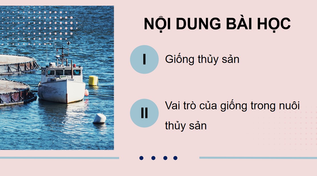 Giáo án PowerPoint Công nghệ 12 Lâm nghiệp thủy sản KNTT Bài 13