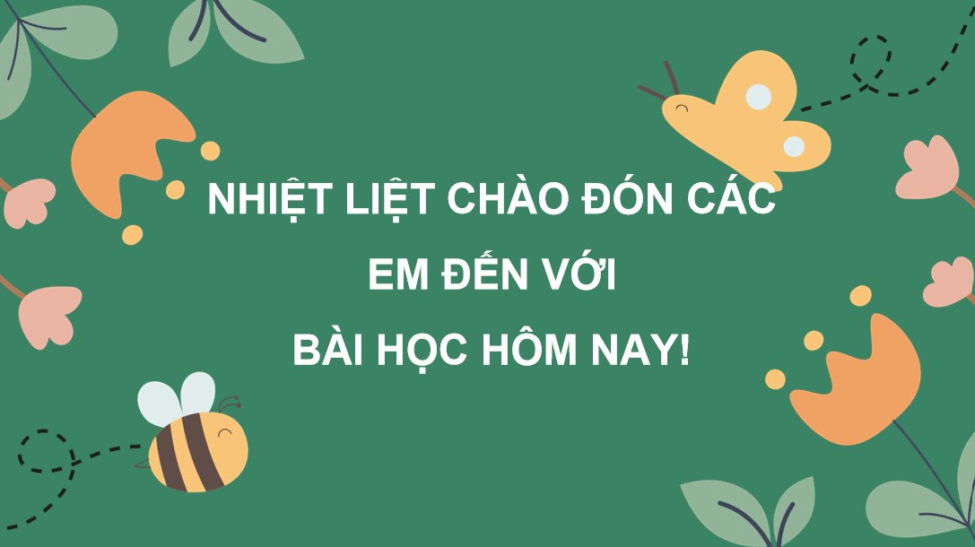 Giáo án PowerPoint Công nghệ 12 Lâm nghiệp thủy sản KNTT Bài 3