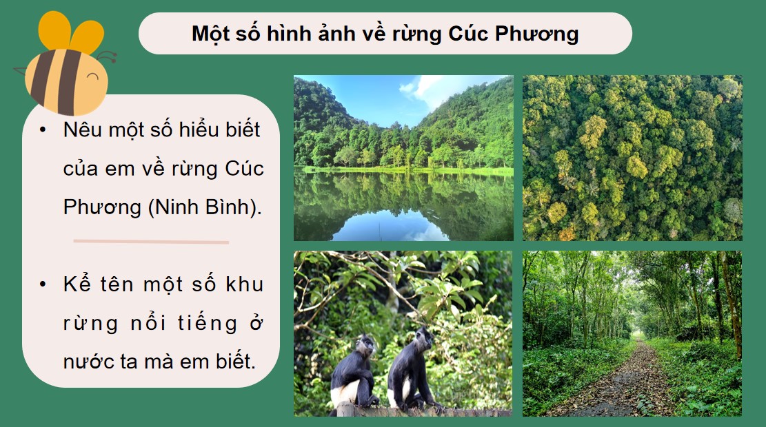 Giáo án PowerPoint Công nghệ 12 Lâm nghiệp thủy sản KNTT Bài 3