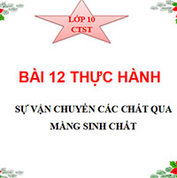 PowerPoint Sinh học 10 Bài 12: Thực hành: Sự vận chuyển các chất qua màng sinh chất