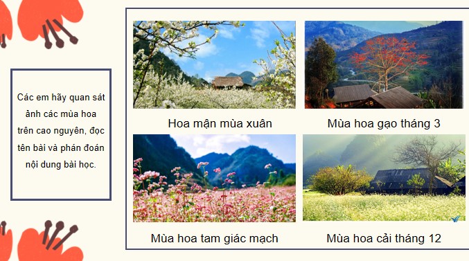 PowerPoint Đọc: Những mùa hoa trên cao nguyên đá