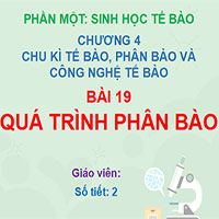 PowerPoint Sinh học 10 Bài 19: Quá trình phân bào