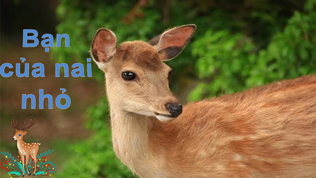 PowerPoint Ôn tập cuối học kì 1 Tiết 7, 8