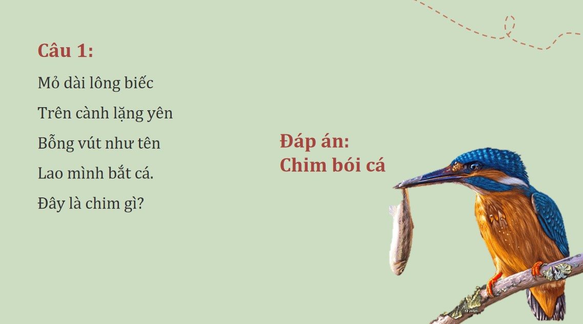 Giáo án PowerPoint Ngữ văn 7 KNTT Bài Bầy chim chìa vôi