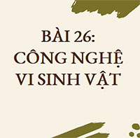 PowerPoint Sinh học 10 Bài 26: Công nghệ vi sinh vật