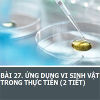 PowerPoint Sinh học 10 Bài 27: Ứng dụng vi sinh vật trong thực tiễn