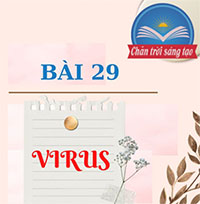 PowerPoint Sinh học 10 Bài 29: Virus