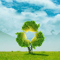 PowerPoint Hoạt động trải nghiệm 8 Chủ đề 6 Bài 2: Lập và thực hiện kế hoạch hoạt động thiện nguyện  