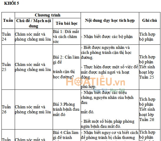 Kế hoạch tích hợp chăm sóc mắt phòng chống mù lòa lớp 5