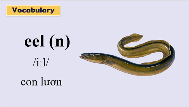 Tiếng Anh 7 Unit 5: Communication