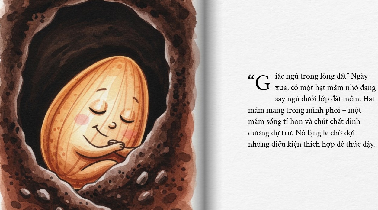 Các bước tạo sách lật trên Gemini