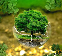 Giáo án Sinh hoạt dưới cờ lớp 10 chủ đề: Hành động vì môi trường tuần 4