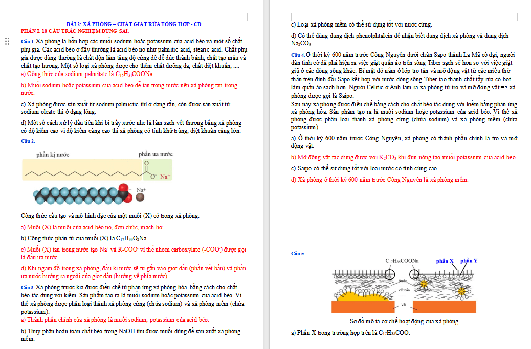 Trắc nghiệm đúng sai Hóa học 12 Cánh diều