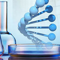 Bài tập trắc nghiệm đúng sai Hóa học 11 Kết nối tri thức (Cả năm)