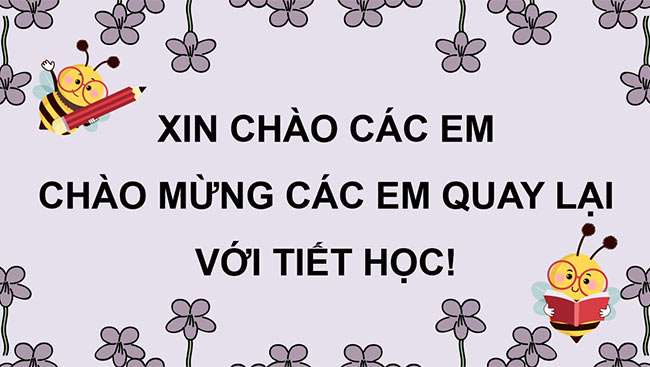 PowerPoint Ôn chữ viết hoa D, Đ