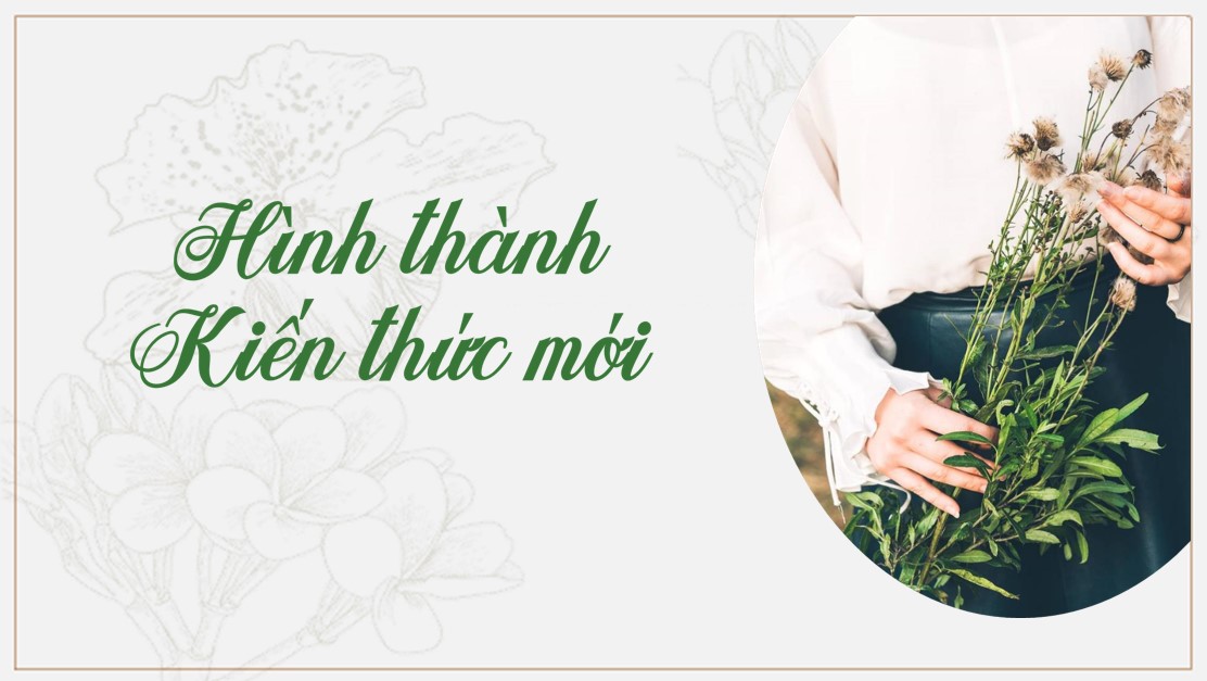 PowerPoint Bài Thảo luận về một vấn đề trong đời sống Văn 9 CTST