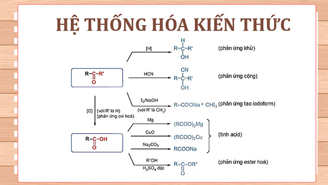 Ôn tập chương 6 