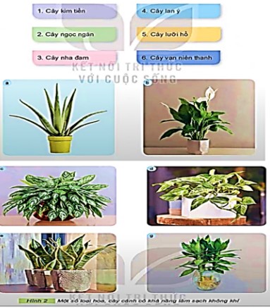 Giáo án tích hợp Công nghệ lớp 4 sách Kết nối tri thức