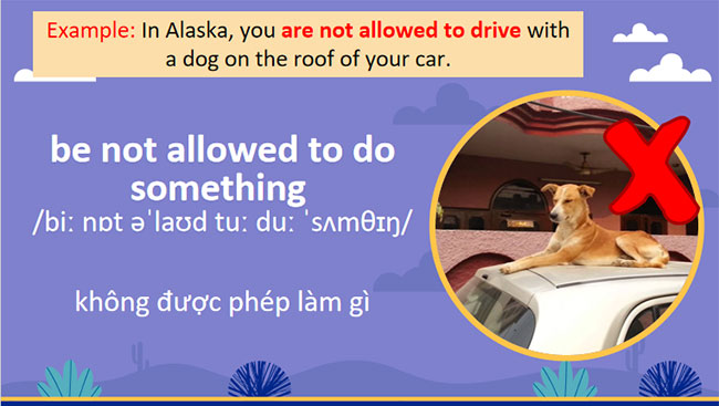 Giáo án Tiếng Anh 7 Unit 7: Communication