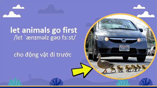 Giáo án Tiếng Anh 7 Unit 7: Communication