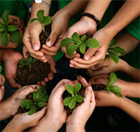 Giáo án Sinh hoạt dưới cờ lớp 7 chủ đề: Mừng Đảng mừng xuân tuần 1