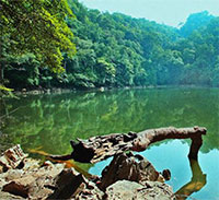 Giáo án Sinh hoạt dưới cờ lớp 7 chủ đề: Mừng Đảng mừng xuân tuần 4