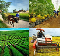 Giáo án Sinh hoạt dưới cờ lớp 7 chủ đề: Phát triển bền vững tuần 1