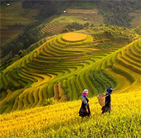 Giáo án Sinh hoạt dưới cờ lớp 4 chủ đề: Quê hương tươi đẹp tuần 21