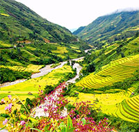 Giáo án Sinh hoạt dưới cờ lớp 4 chủ đề: Quê hương tươi đẹp tuần 22