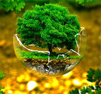 Giáo án Sinh hoạt dưới cờ lớp 4 chủ đề: Quê hương tươi đẹp tuần 23