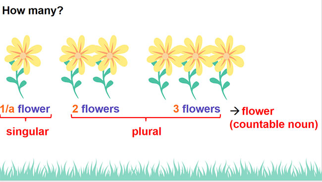 PowerPoint Tiếng Anh 6 Unit 5: A Closer Look 2